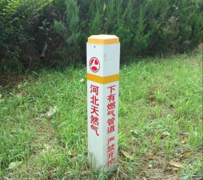 应用案例