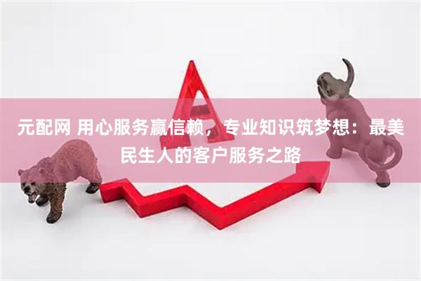 元配网 用心服务赢信赖，专业知识筑梦想：最美民生人的客户服务之路